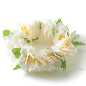 yV1ʁ3 Ԋ nN C|I t_Xwbhoh t[wbhoh 11J[  F  sN u[ 