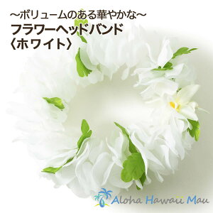 t_X nN nNC |H C|I Ԃ̃wAoh t[wbhoh zCg nC̉ԏ ߑ Ԋ  ԏ  F̉ nCAEGfBO  ][g