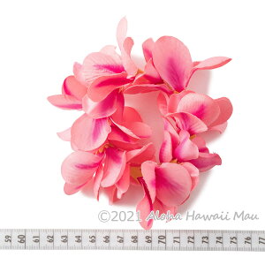 t_X C An vA t uXbg Iׂ3J[ NEyG zCP nCA \ CeA   ANbg sN  s[` t_Xߑ