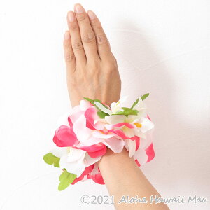 yV1ʁ3]5.0 t_X C t[ uXbg Xgoh N[yG ANbg Iׂ11J[ nCA NEyG vAC zCP t nC \ C