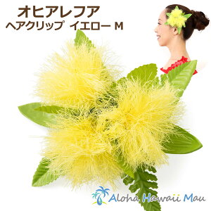 t_X  IqAtA wANbv CG[ MTCY tA  t_Xߑ  nC̃wANbv F ԏ Cxg  wAANZT[