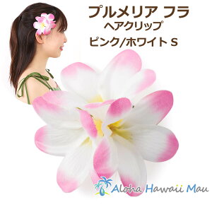 t_X  vA wANbv STCY sN/zCg t Ԃ̔ t_Xߑ nC t[Nbv ][gEGfBO \ EN a l Ǝ 