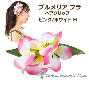 t_X  vA wANbv MTCY sN/zCg t Ԃ̔ t_Xߑ nC t[Nbv ][gEGfBO \ EN a l Ǝ 