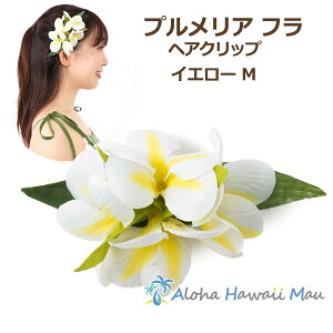 t_X  vA wANbv MTCY CG[ t Ԃ̔ t_Xߑ nC t[Nbv F \ EN a l Ǝ Cxg ][gEGf