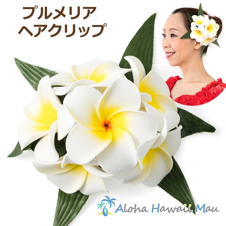 楽天市場】フラダンス 髪飾り プルメリアヘアクリップ ホワイト  