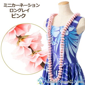 t_X C ~jJ[l[VOC sN@t_Xߑ J[l[V fBXvC  t_Xߑ t[C sN Ԃ̎ Ԃ̃C t  Cxg 