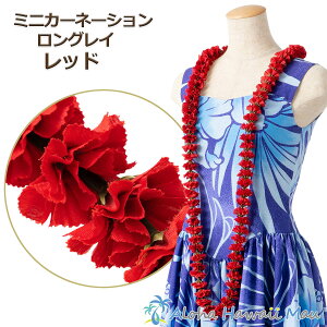 t_X C ~jJ[l[VOC bh@t_Xߑ J[l[V fBXvC  t_Xߑ t[C  Ԃ̎ Ԃ̃C t  Cxg EN