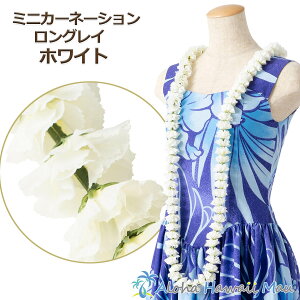 t_X C ~jJ[l[VOC zCg@t_Xߑ J[l[V fBXvC  t_Xߑ t[C  Ԃ̎ Ԃ̃C t  Cxg E