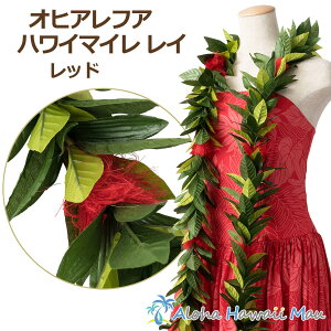 t_X C IqAtA}C C bh tAC ߑ nCAC t tC Ԃ̃C }C O[C t̃C I[vC JqR ÓTt