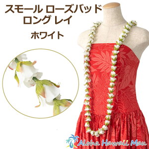 t_X C X[[YC X[ [Yobh OC zCg Pj o t[C t tC õC t_Xߑ nCAC ̃õC