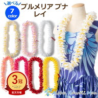 ★楽天1位＆3冠＆高評価4.7 フラダンス レイ 首飾り 選べる7カラー ハワイアンレイ プルメリア プナ フラ…