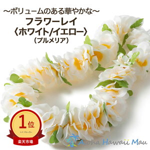 yV1 t_X C Ԃ̎ t[C zCg/CG[ t_Xߑ  Cxg  F̉ nC nCAEGfBO  ][gEGfBO \