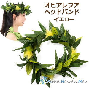 t_X wbhoh nN IqAtAnC}C CG[ nNC |H Ԃ̃wAoh t[wbhoh F ߑ Ԋ  ԏ    nCAt Jq