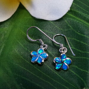 y8000~ȏőIznCAWG[sAXvAiIp[jkCEB1~ȏőIîj