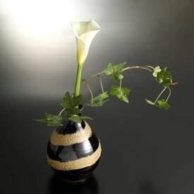 花瓶 徳利 手描き 磁器 インテリア お酒 焼酎 家飲み 宅飲み キッチン 食器 カトラリー 焼物 ギフト おしゃれ モダン 黒 金