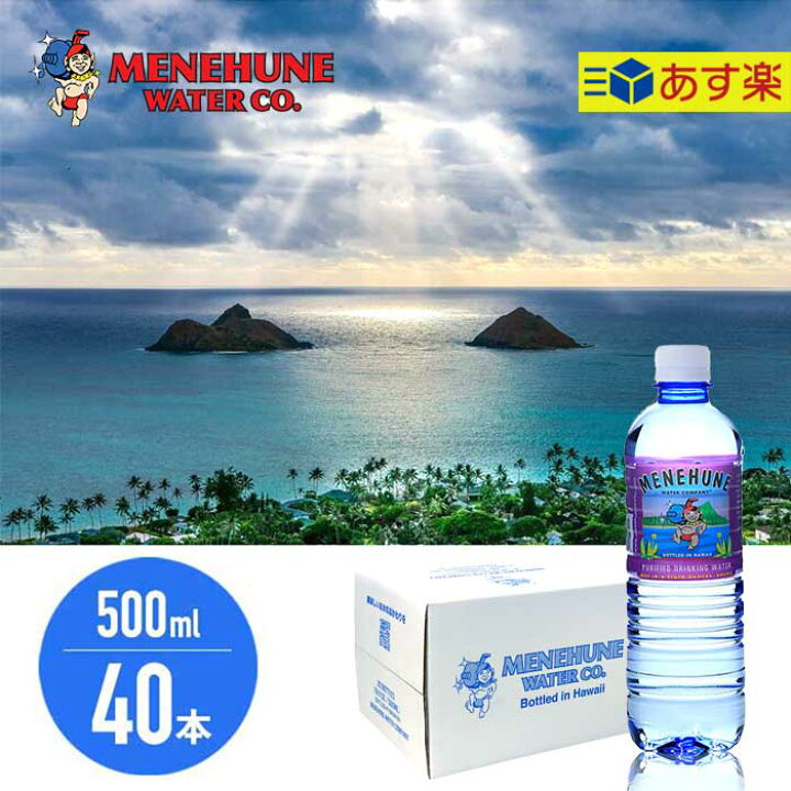 楽天市場】【30日最大P19倍】【500ml×40本入り(20本×2ケース