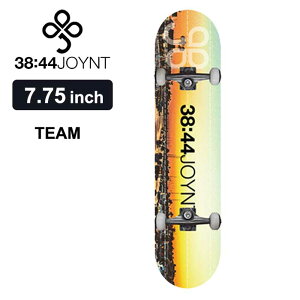 yőP28{!!ubNtCf[!!zXP{[ Rv[g WCg XP[g{[h sk8 S JINC JOYNT LINE COMPLETE HIDEAKI HAYASHI 8C` i XP{[  fUC Sҗp {l