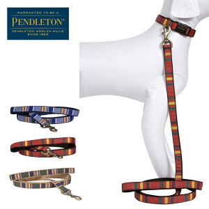 yőP19{!!3050̂!!zyőP29 }\zyhg  [h PENDLETON PET nCJ[[V 0PP1005 [200901]ySPSz