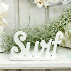 ySurfX^hz TCYij T[tBESurfing EIuWF nCAET[tE} CeA