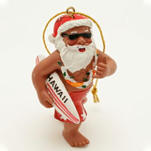 nC NX}X I[ig T^ T^N[X Xmas   nCAG CeA T[tB T[t{[h 킢  An aloha AJ v[g Mtg i