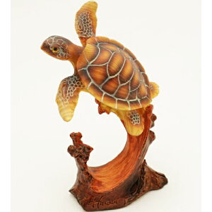 nCAG u IuWF   zk E~K C tBMA nC CeA yY hawaii iXCzktBMA Sj lbNXz_[ O ANZT[z_[ [