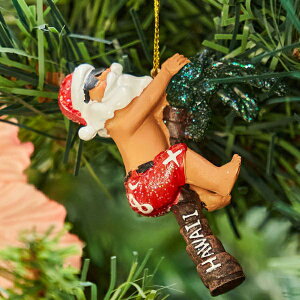 nC NX}X I[ig T^ T^N[X Xmas   nCAG CeA p[c[ V̖ 킢  An aloha AJ v[g Mtg y