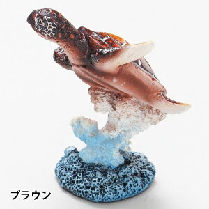 nCAG u IuWF   zk E~K T C g tBMA nC CeA yY hawaii iXCzktBMA Sj lbNXz_[ O ANZT[z_[ 