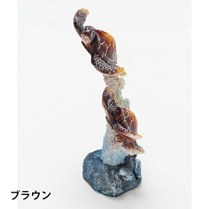 nCAG u IuWF   zk E~K T C g tBMA nC CeA yY hawaii iXCzktBMA Mj lbNXz_[ O ANZT[z_[ 