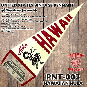 yig tbO  ^yXg[ nCAG t t_X AJG CeA fBXvC   Ǌ|  K[W X JtF nC hawaii AJ AG 