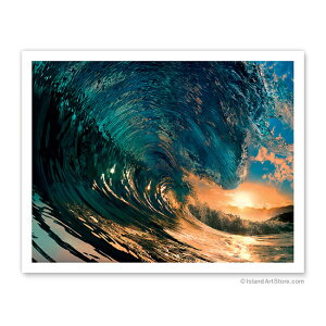 ynCA A[gvgzr[`ECEREAEiFEiMorning Color - Hawaiian WaveinC̔gjiWillyam BradberryjnCA CeAEA[gEGEA[eBXg