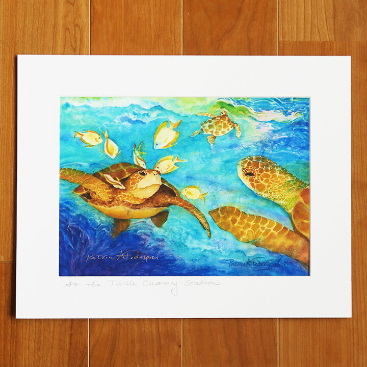 楽天市場 Patrice Federspiel パトリス フェダーシュピール ハワイ アート 絵画 ホヌ ウミガメ 海 ハワイアン インテリア アーティスト At The Turtle Cleaning Station ビーチ リゾート 絵 作品 Aloha Diaries ハワイ セレクトshop