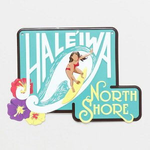 nC Ŕ TC {[h nCA G CeA Ǌ|  u ^TC T[tB C r[` AJ nC m[XVA hawaii haleiwa X JtF  i{[C 