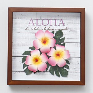 nCA G CeA t[ Ǐ Ǌ| Ŕ fR[V fBXvC  vA  Xe rO   킢 } ][g 썑 hawaii aloha i