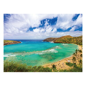 nC A[g ʐ^ Ǌ| EH[ fR KXA[gsN`[ i iF i nCA CeA G r[` C ][g Mtg v[g HANAUMA BAY niE}xC hawaii