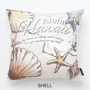 nCA NbVJo[ 45×45cm nC CeA G C r[` 썑 ][g } i iF vA  zk E~K V̖ p[c[ nCrXJX Lk VF aloha h