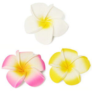 yt[eBO vAz ԁEtFCNt[zCgEsNECG[LTCYECeAEԊEu[PnCA CeA