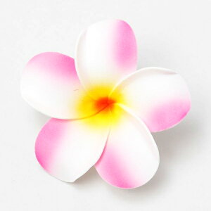 vA Nbv wAs y2Zbgz  zCg sN  bh nCA ANZT[ wAANZ  wANbv t hula tߑ vA t@bV f