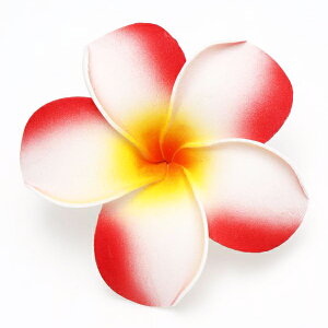 vA Nbv wAs  yPiz zCg sN  bh nCA ANZT[ wAANZ  wANbv t hula tߑ vA t@bV fB[