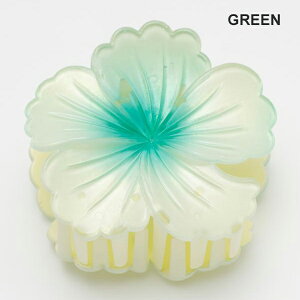 wANbv wAANZT[ wAANZ   oYNbv 킢  nCrXJX  nCA ANZT[ t@bV fB[X t hula t_X ߑ 