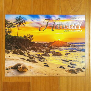 ynC J_[ 2023NznC i C r[` iF i ʐ^ iHawaiij J_[ 2023 Ǌ| |X^[ AChwe[W 16 nCA CeA G yY v[g M