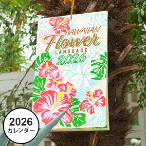 nC J_[ 2026N Ǌ| |X^[ 2026  킢 C  vA nCrXJX eBA Xe t[ A 썑 ][g nCA G CeA rO A