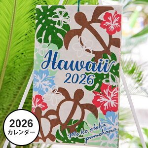 nC J_[ 2026N Ǌ| |X^[ 2026  킢 zk E~K CT Xe  nCrXJX 썑 ][g nCA G CeA rO A[g G hawaii aloha M