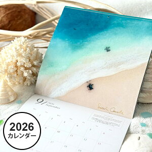 nC J_[ 2026 Ǌ| TJ[h Sarah Caudle nCA A[g G W |X^[ CeA G [ pG C r[` ][g i iF  2026N v[g Mtg ha