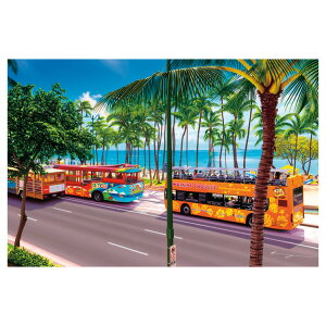 nCA A[g G LoX vg IR ` nC iF i nCAG CeA Ǌ|  i~jLoXjiWAIKIKI BEACH CLLr[`j C ][g g[ 