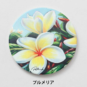 nCAG R[X^[ nCA Lb`  ObY JtF CeA 썑 ][g A[g G A[eBXg pgbNE`iPatrick Chingj Mtg v[g zk E~K 