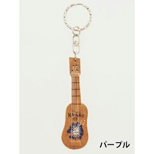 EN L[z_[ L[`F[ nCAG  nCyY A Mtg v[g hawaii