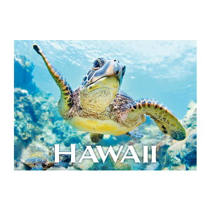 ynCAA[g }OlbgzBinkyizkETjMonica & Michael SweetnCAG݁E΁EpiG݁E[EpiEyY