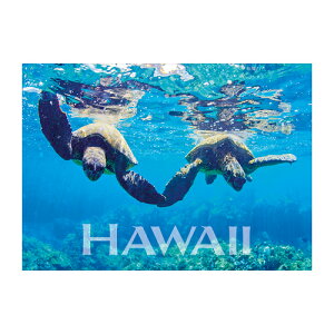 ynCAA[g }OlbgzHandsizkETjMonica & Michael SweetnCAG݁E΁EpiG݁E[EpiEyY