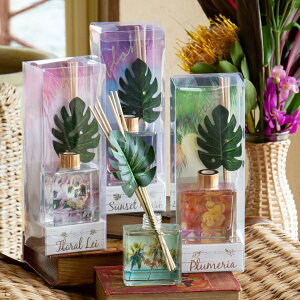 nC fBt[U[ [hfBt[U[ XeBbN A} IC  nCA G CeA r[` C ][g }  RRibc iAnjj