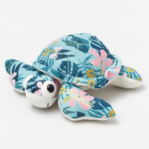 ʂ T zk E~K l` h[ nCAG݁@A   q 킢  ӂӂ } r[` C hawaii honu Mtg v[g K^ _ iAGtj